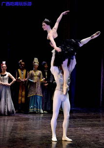 如果一生只能看一次芭蕾和话剧,那必然是 天鹅湖 和 白鹿原